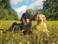 Enya + Bijou