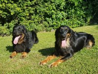 Dragomir und Enya