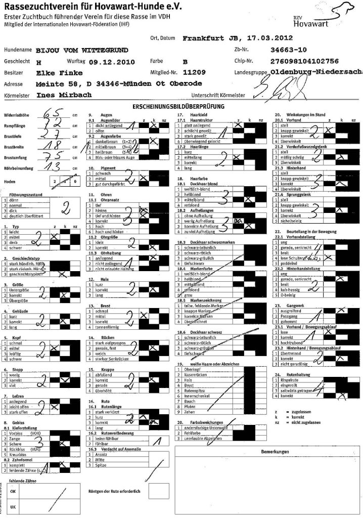 JB Erscheinung