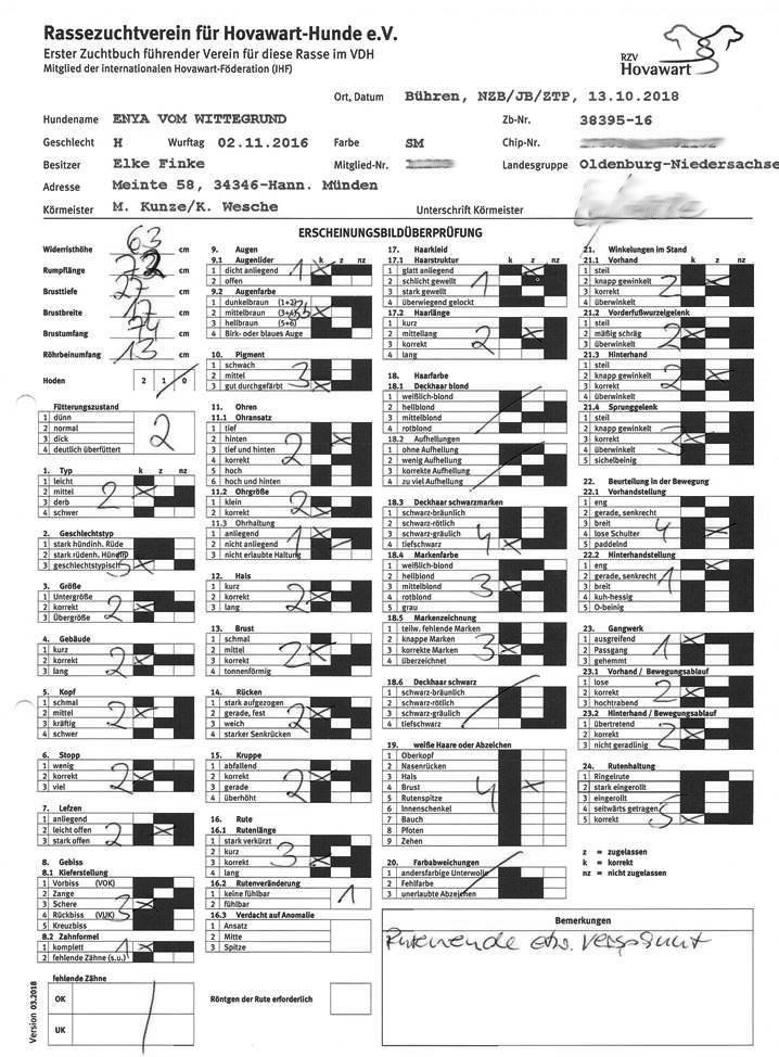 JB Erscheinung
