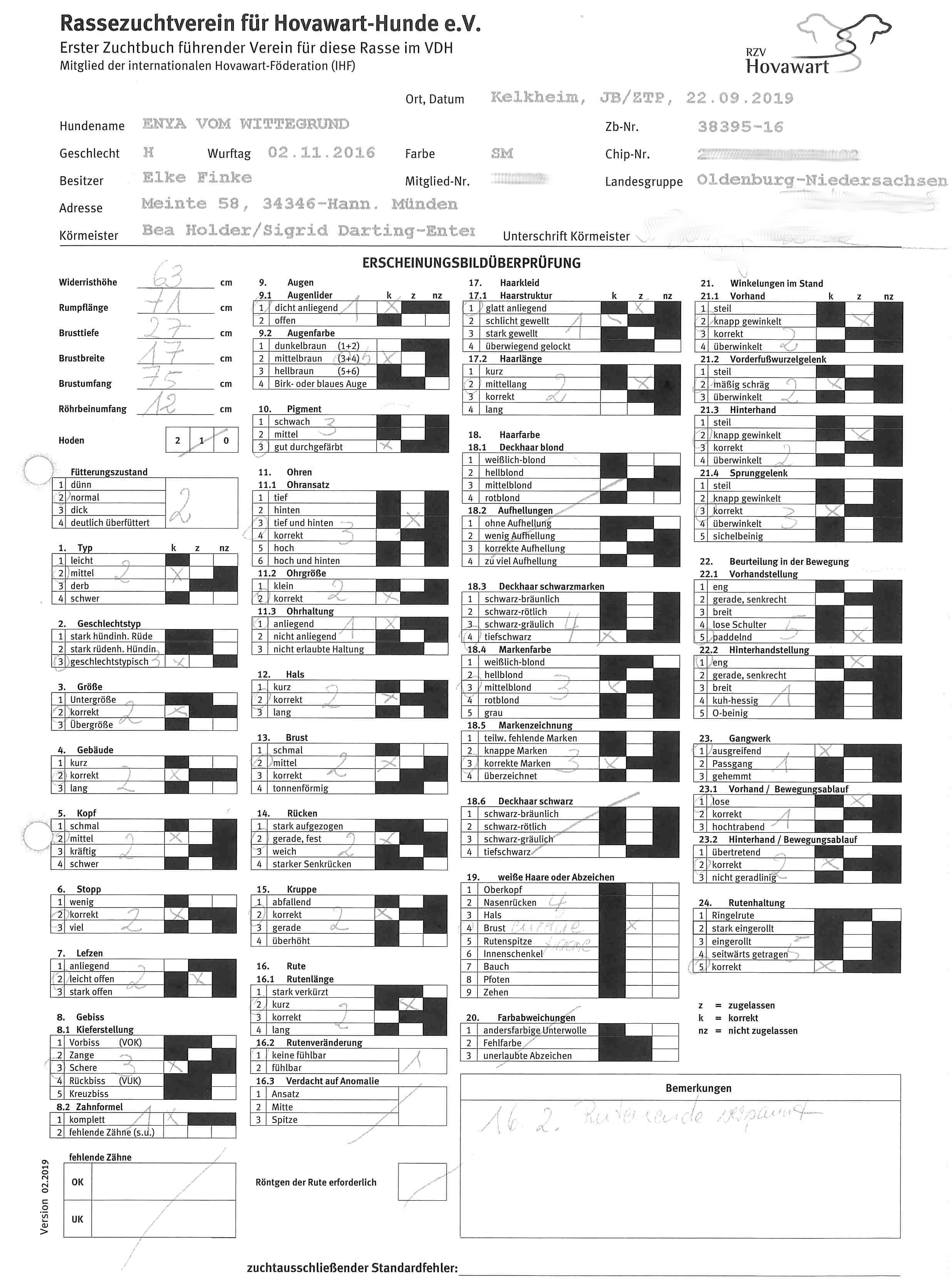 JB Erscheinung