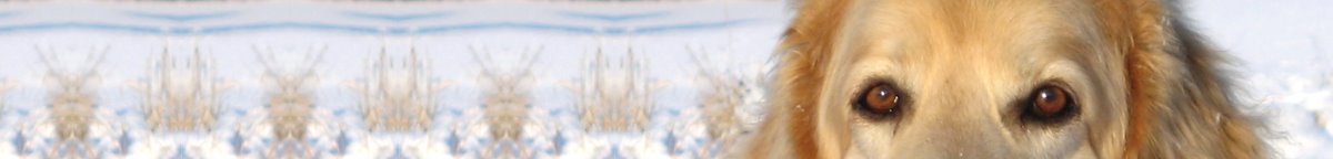 Bundje_Augen_Winter_1200x144.jpg
