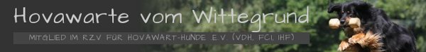 A vom Wittegrund