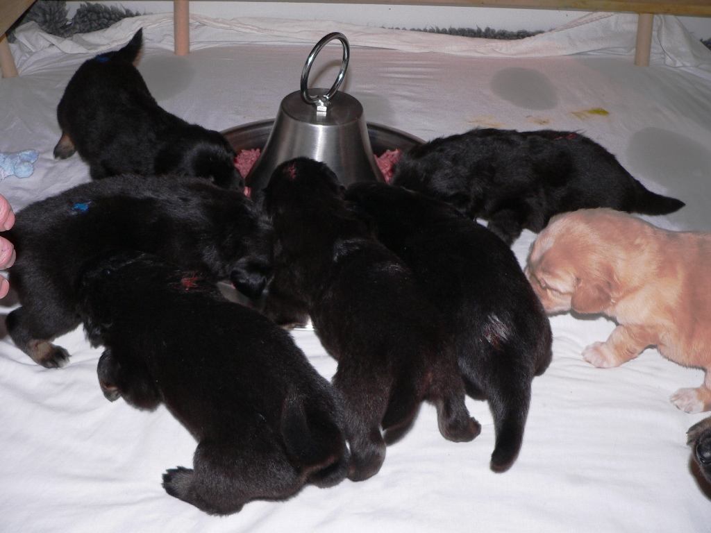 2009 03 25 Tag 21 122