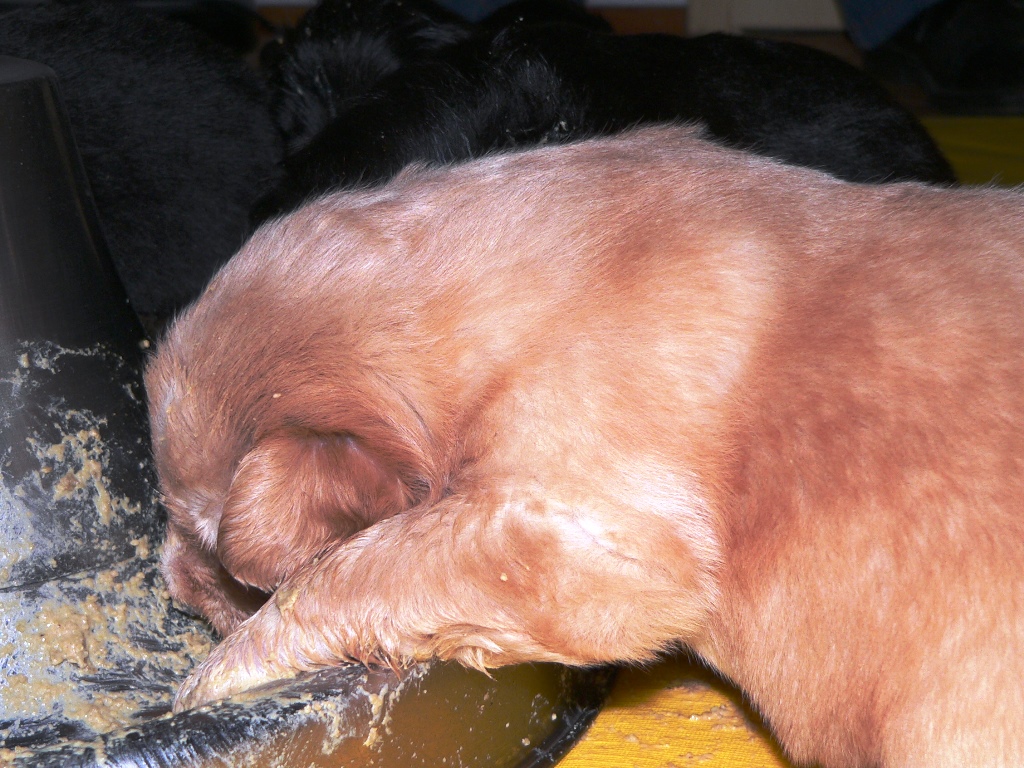 2009 03 26 Tag 22 137