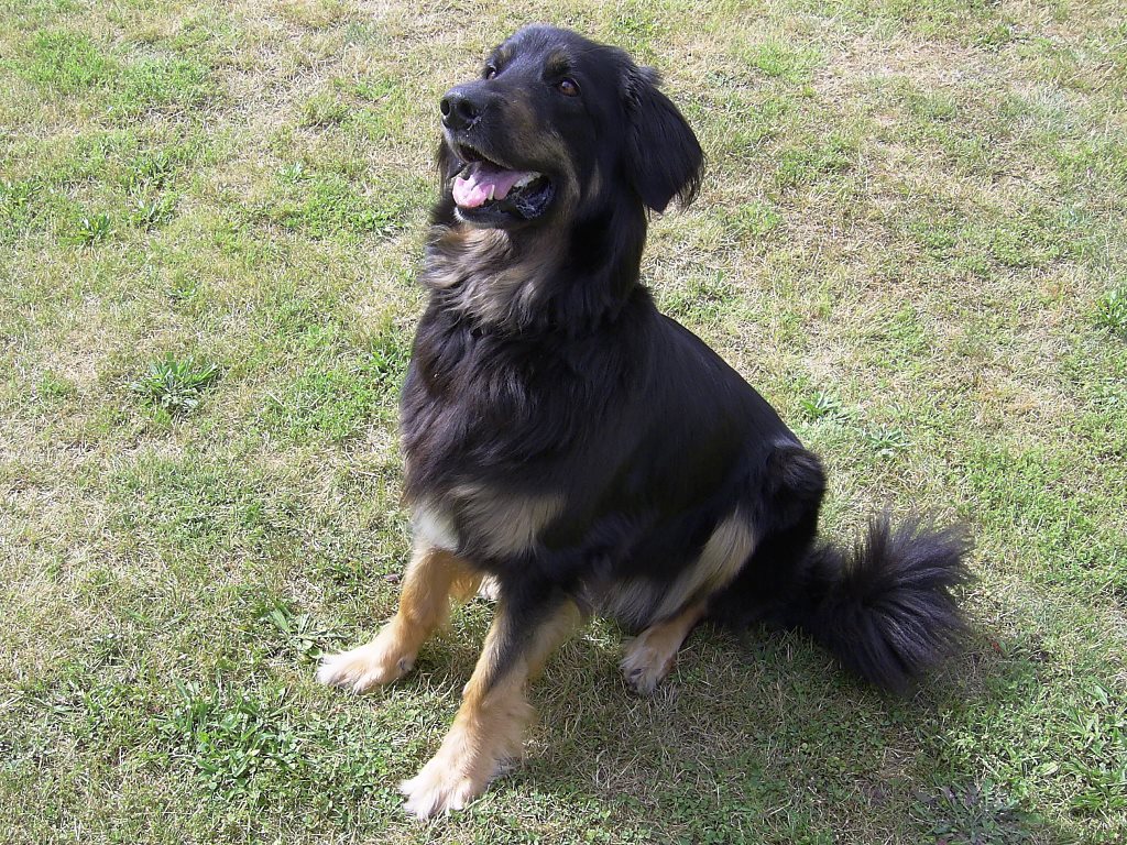 2012 06 11 75