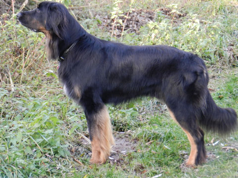 2012 10 30 068
