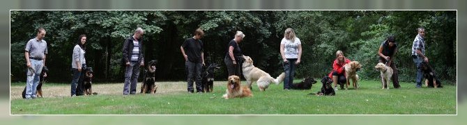 2013 08 18 NZB C-Wittegrund Gruppe 004